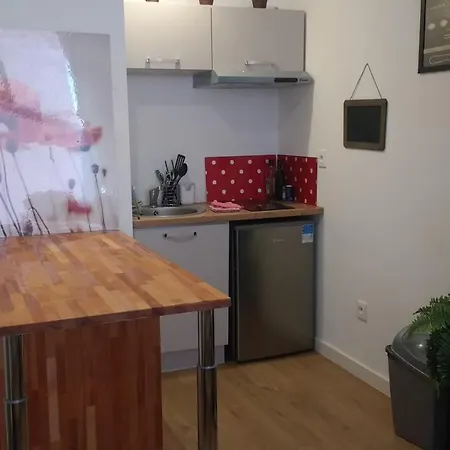 شقة Palais De Justice تولوز